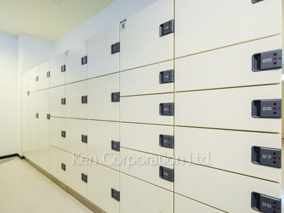 Mail/Delivery box