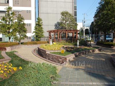 Courtyard/Greenery