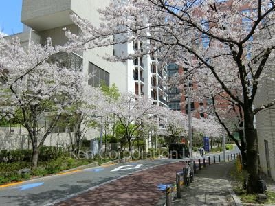 Neighborhood