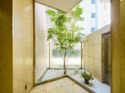 Courtyard/Greenery