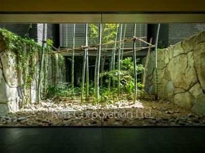 Courtyard/Greenery