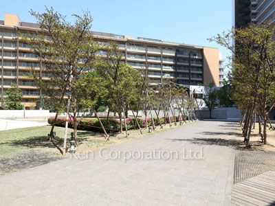 Courtyard/Greenery