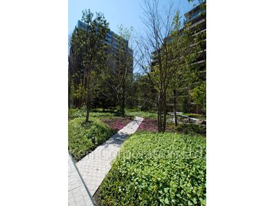 Courtyard/Greenery
