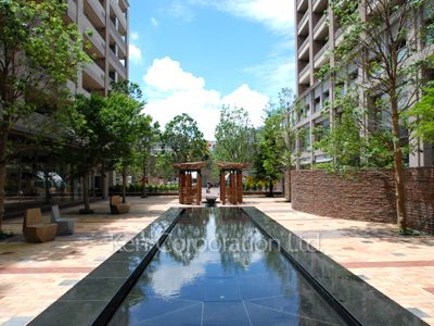 Courtyard/Greenery