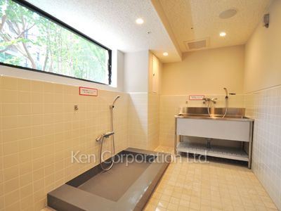 Pet care facility
