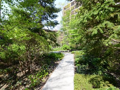 Courtyard/Greenery