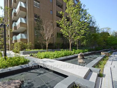 Courtyard/Greenery
