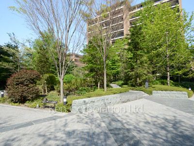 Courtyard/Greenery