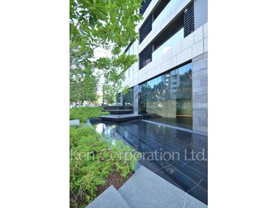 Courtyard/Greenery