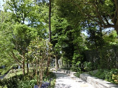 Courtyard/Greenery