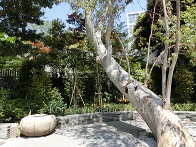 Courtyard/Greenery