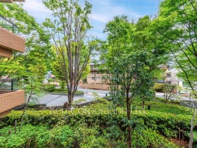 View from the property
