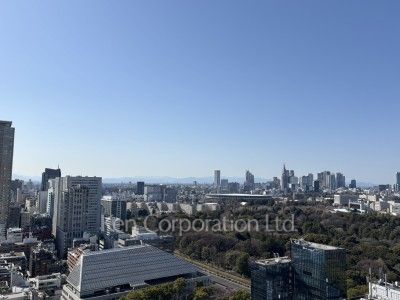 View from the property