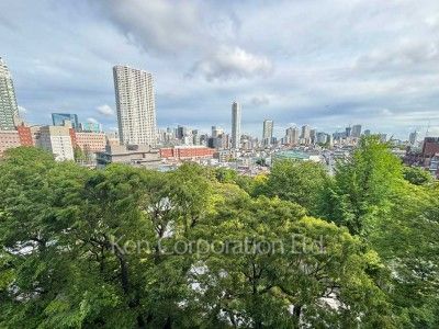 View from the property