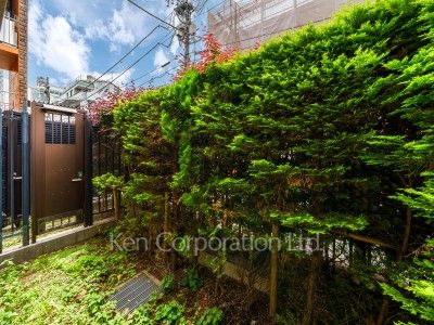 Yard/Garden