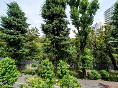 View from the property