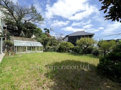 Yard/Garden