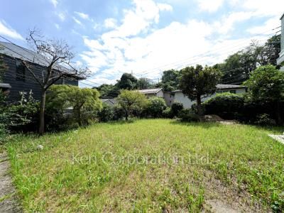 Yard/Garden