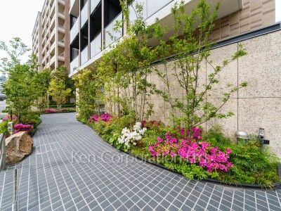 Courtyard/Greenery