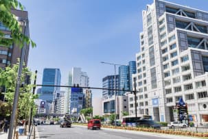 Popular Areas : Aoyama/Omote-sando 