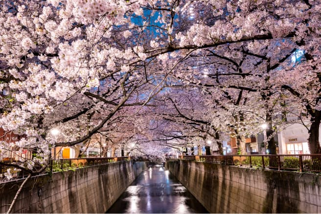 Tokyo
