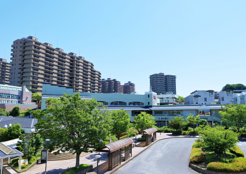 Other Yokohama
