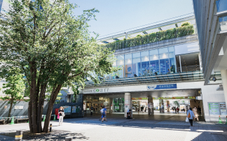 Seijo/Chofu/Kichijyoji Area