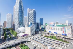 Popular Areas : Shinjuku 